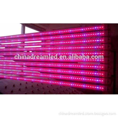 1W High Power LED 620nm 630nm red led for Plant Grow Light Emitting Diode
